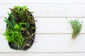 Fresh herbs on plate and thyme flat lay copyspace