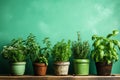 Fresh Herbs in Pots Vintage Country Kitchen