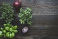 Fresh herbs with red onion on the wooden background with copy space Royalty Free Stock Photo