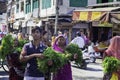 Fresh Herbs for Sale at Market