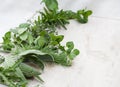 fresh herbs with selective focus Royalty Free Stock Photo