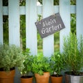 Fresh herbs, slate