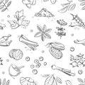 Fresh herbs and spices doodle hand drawn vector seamless pattern