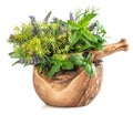 Fresh herbs and spices mint, basil, dill, rosemary, sage, lavend Royalty Free Stock Photo