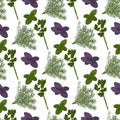 Fresh herbs and spices seasonings seamless pattern