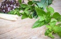 Fresh herbs and spices with sweet basil lemon grass holy basil peppermint leaf on wooden background - ingredient asian food Royalty Free Stock Photo