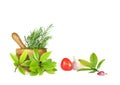 Fresh Herbs, Tomato and Garlic Royalty Free Stock Photo