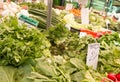 Fresh herbs and vegetables Royalty Free Stock Photo