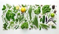 Fresh Herbs, Vegetables & Spices Ã¢â¬â Natures Flavor Enhancers!