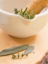 Fresh herbs in white ceramic mortar on wooden surface. Royalty Free Stock Photo