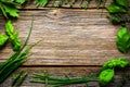 Fresh herbs on wooden background Royalty Free Stock Photo