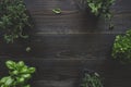 Fresh herbs on the wooden background with copy space Royalty Free Stock Photo