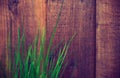 Fresh herbs and wooden board background.