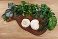 Fresh herbs on wooden cutboard