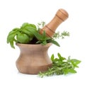 Fresh herbs in wooden mortar and pestle isolated on white background cutout Royalty Free Stock Photo