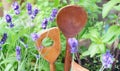 Fresh herbs and wooden spoons,natural, organic, seasonal ingredients, healthy food