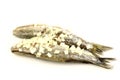 Fresh herring (Dutch Hollandse Nieuwe) Royalty Free Stock Photo