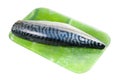 Fresh herring isolated on a white background. Seafood Royalty Free Stock Photo