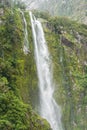 Fresh high waterfall with green moss