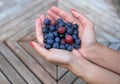 Fresh highbush blueberries and gooseberries on female hands