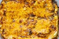 Fresh home cooked delicious lasagna Royalty Free Stock Photo