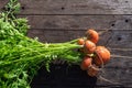 Fresh home garden bed grown organic carrots Royalty Free Stock Photo