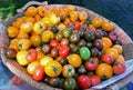 Fresh Home Grown Farmers Market Tomatoes Royalty Free Stock Photo