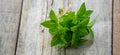 fresh home herbs from the garden. basil. Selective focus. Royalty Free Stock Photo