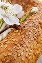 Fresh home-made bread Royalty Free Stock Photo