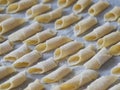 Fresh home made italian pasta Garganelli