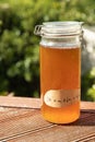 fresh home made kombucha, fermented fungus tea, healthy lifestyle