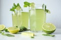 Fresh home-made lemonade with lemon, lime and mint in a glass on white background and ingredients laying on the table Royalty Free Stock Photo