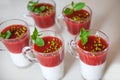 Fresh home made strawberry yoghurt dessert Royalty Free Stock Photo