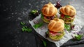 Fresh home sandwich with avocado guacamole, tomatoes, arugula, red onion and ham. Royalty Free Stock Photo