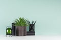 Fresh home workplace with style black stationery, books, candlestick, green aloe in pot in trendy green mint menthe interior.