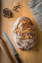 Fresh homebaked bread Royalty Free Stock Photo