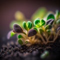 Fresh homegrown microgreens. Generative AI