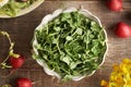 Fresh homegrown pea shoots or microgreens in a bowl, top view Royalty Free Stock Photo