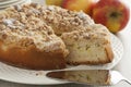 Fresh homemade apple cake Royalty Free Stock Photo