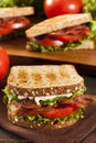 Fresh Homemade BLT Sandwich Royalty Free Stock Photo