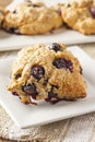 Fresh Homemade Blueberry Breakfast Scones