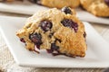 Fresh Homemade Blueberry Breakfast Scones