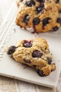 Fresh Homemade Blueberry Breakfast Scones