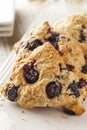 Fresh Homemade Blueberry Breakfast Scones