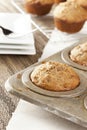 Fresh Homemade Bran Muffins Royalty Free Stock Photo