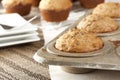 Fresh Homemade Bran Muffins Royalty Free Stock Photo