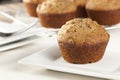 Fresh Homemade Bran Muffins Royalty Free Stock Photo