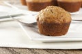 Fresh Homemade Bran Muffins Royalty Free Stock Photo