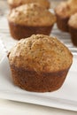 Fresh Homemade Bran Muffins Royalty Free Stock Photo