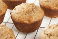 Fresh Homemade Bran Muffins Royalty Free Stock Photo